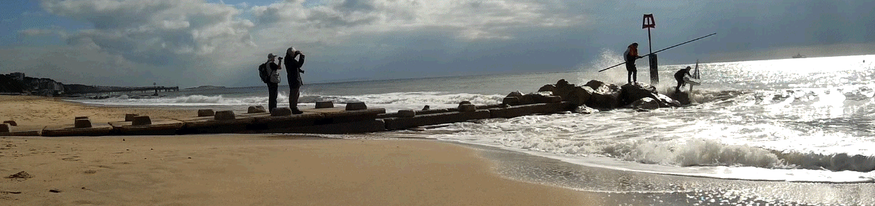 2016 Atlantic Attempt