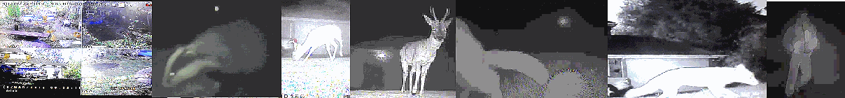 CCTV